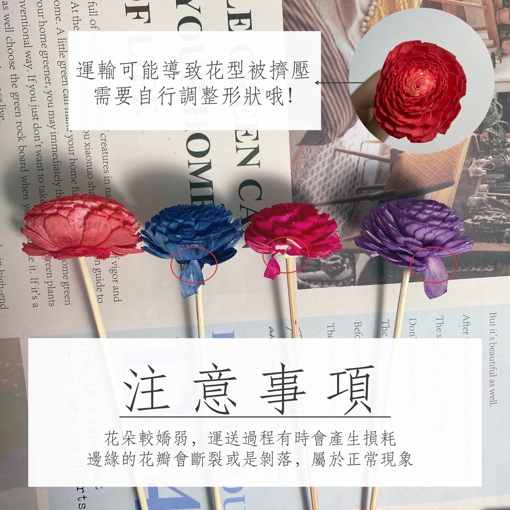 【台灣現貨速發】索拉花 太陽玫瑰 開心菊 擴香花 通草花｜面寬4.5公分 可混色 一次最少出貨五支 乾燥花 蓪草 索拉