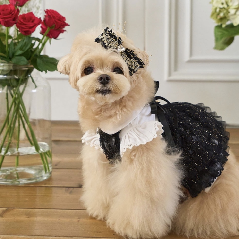 Blooming閃耀浪漫蕾絲洋裝 ShineBlack 黑- It’s sunny outside