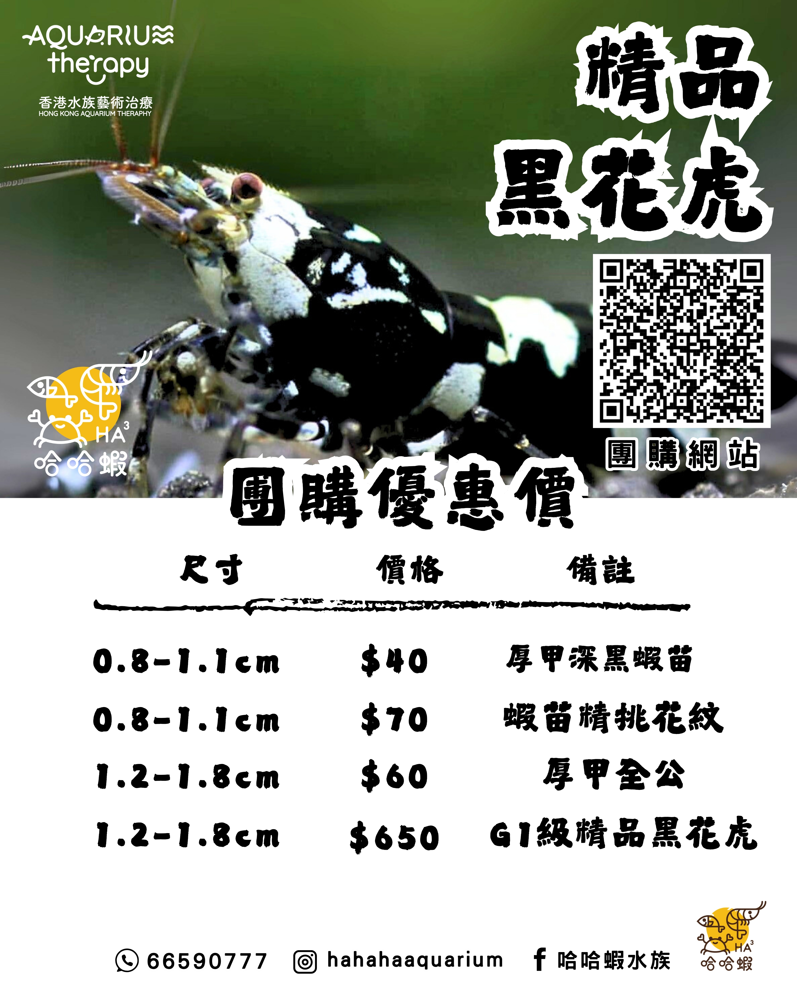深黑厚甲 黑花虎蝦 | S-SSS BLACK Fancy Tiger Shrimp [團購]