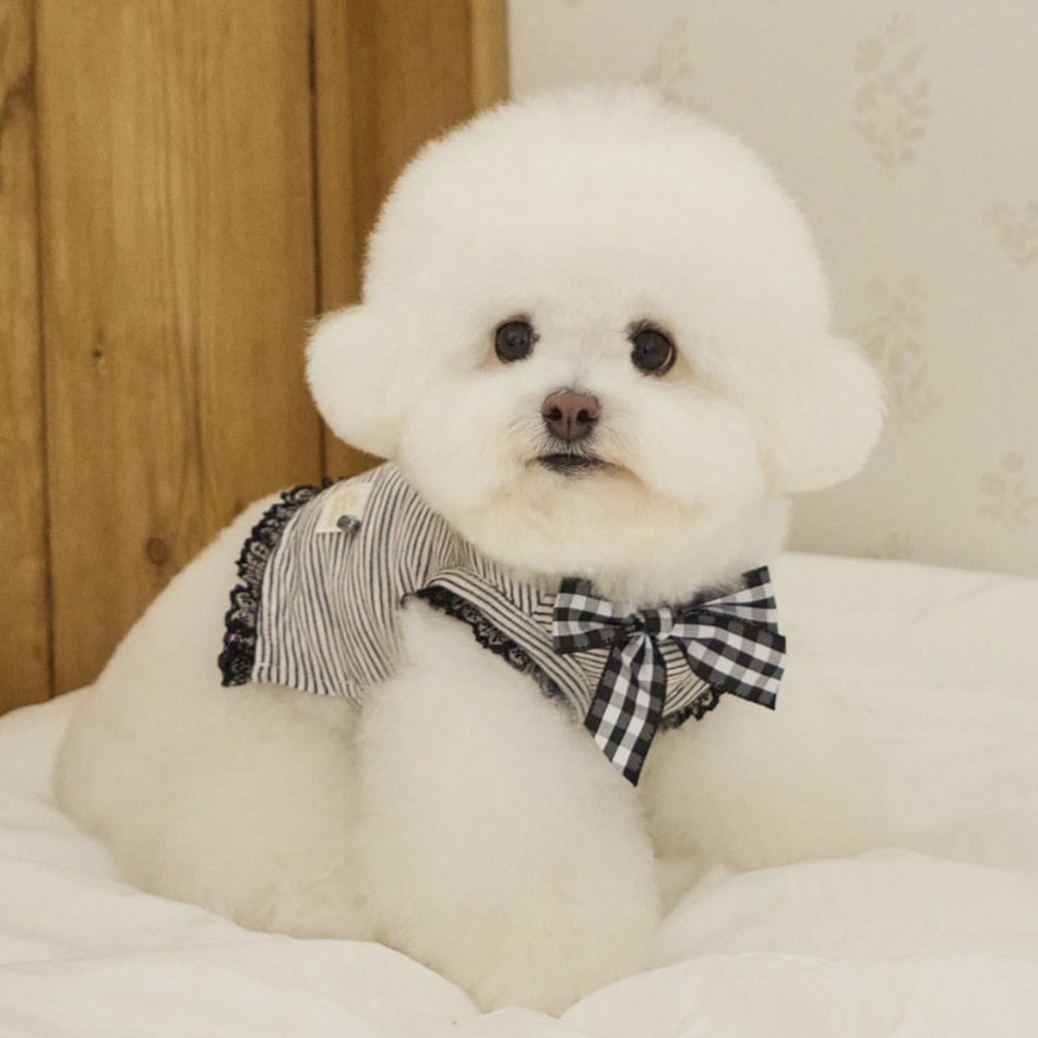 櫻桃條紋無袖上衣 Cherry Ribbon Top - It’s sunny outside