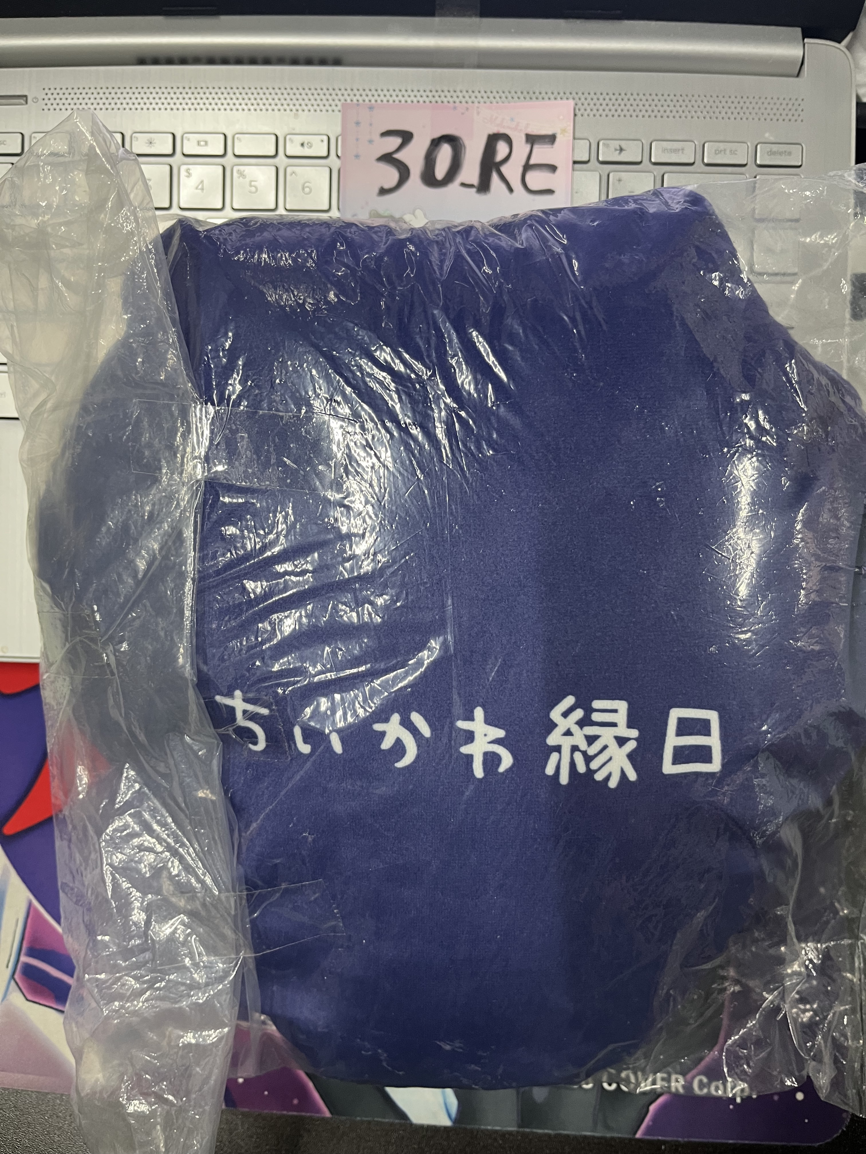 CHIIKAWA 小可愛 cushion #30_RE