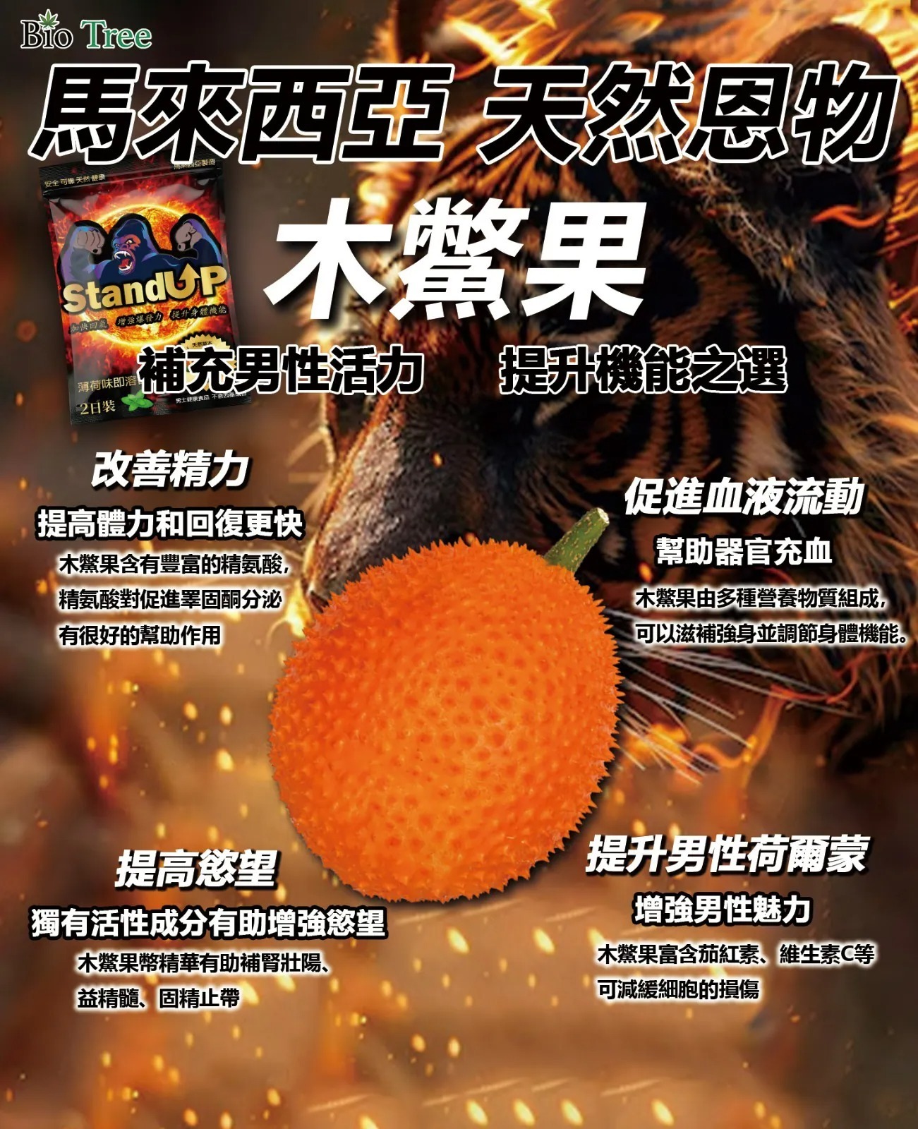 【限時特惠！】KING KONG - Stand UP 薄荷味即溶含片 2日裝 (4片)|快速見效|補充能量|恢復體力|追求持久力和爆發力