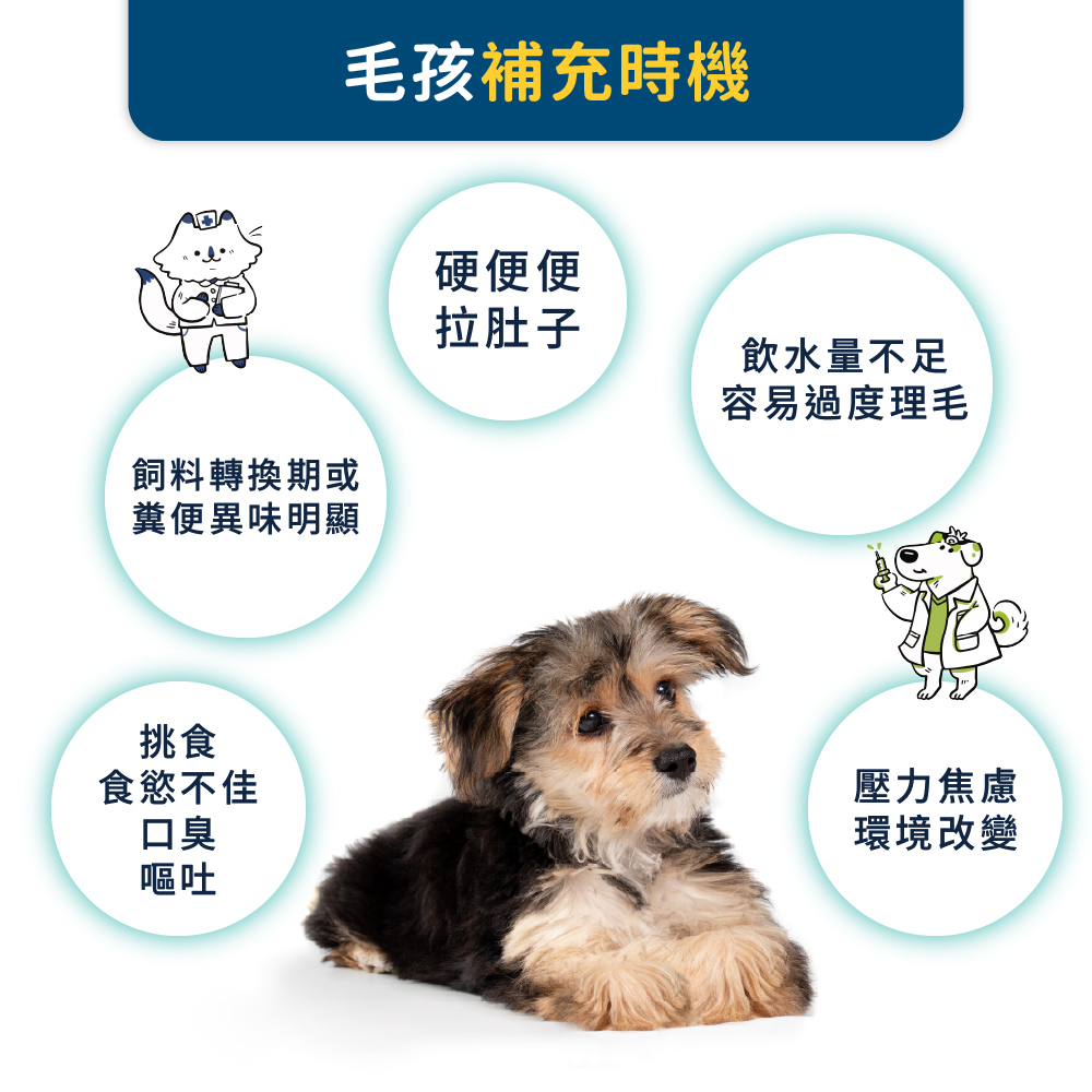 好腸道+好靈油+寵護霜優惠組合