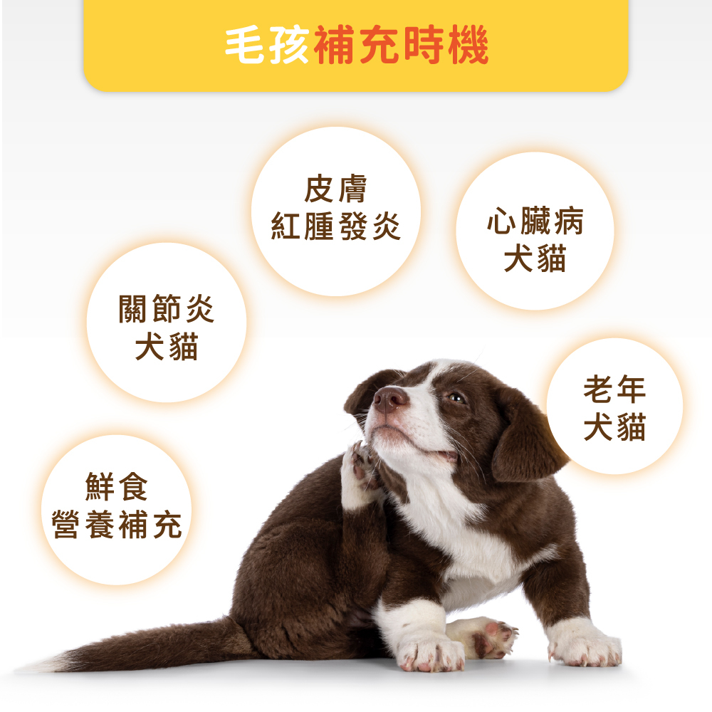 好腸道+好靈油+寵護霜優惠組合