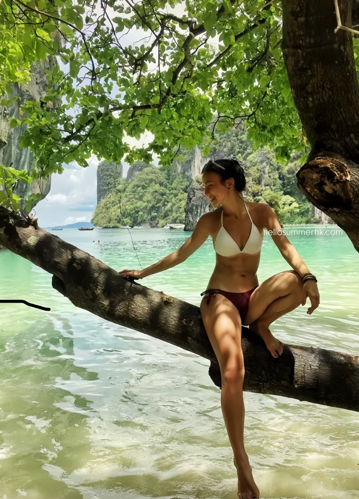 HDS181自家製限定款