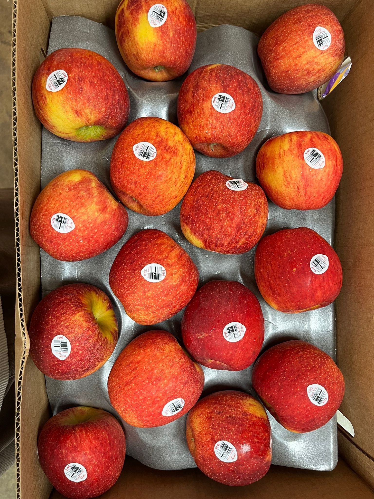 紐西蘭艾菲蘋果-原箱（包賀卡）