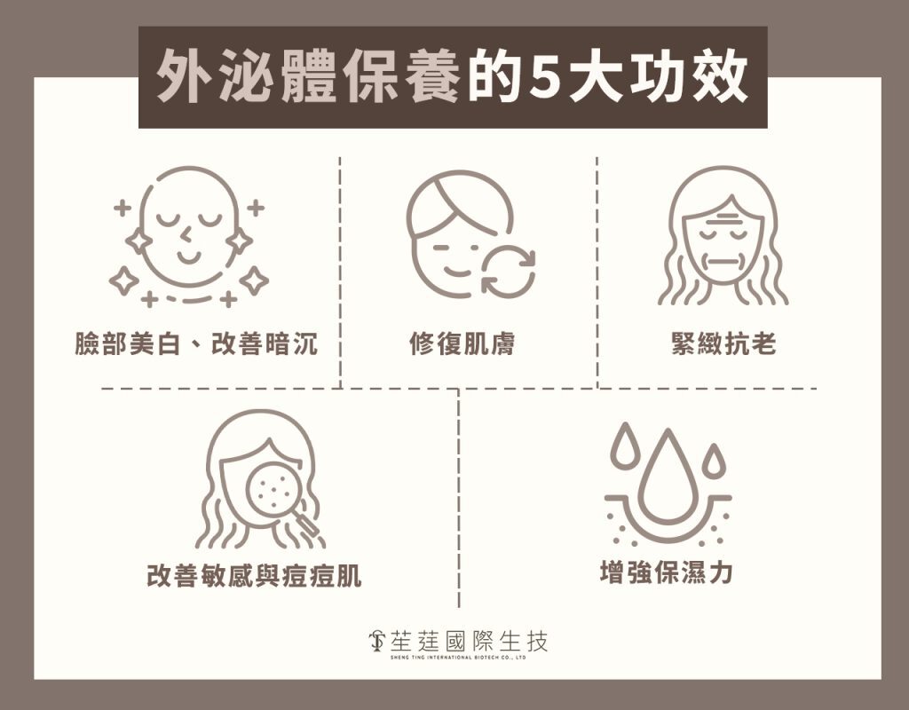 外泌體保養