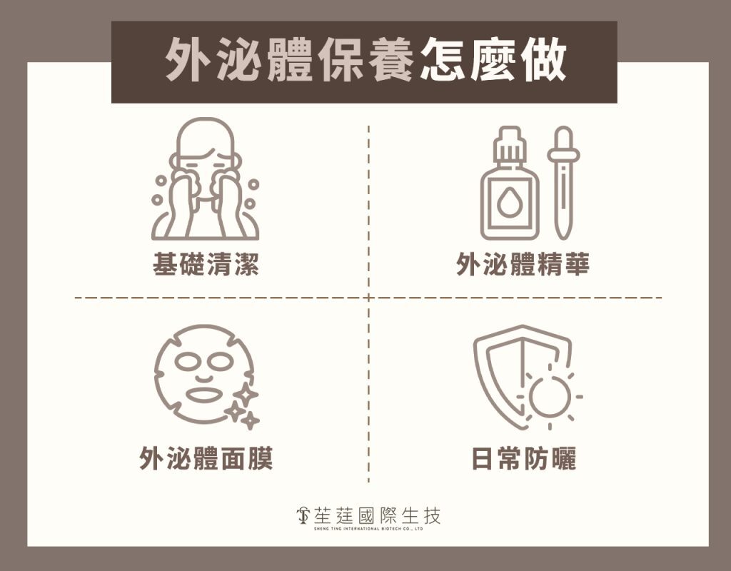 外泌體保養