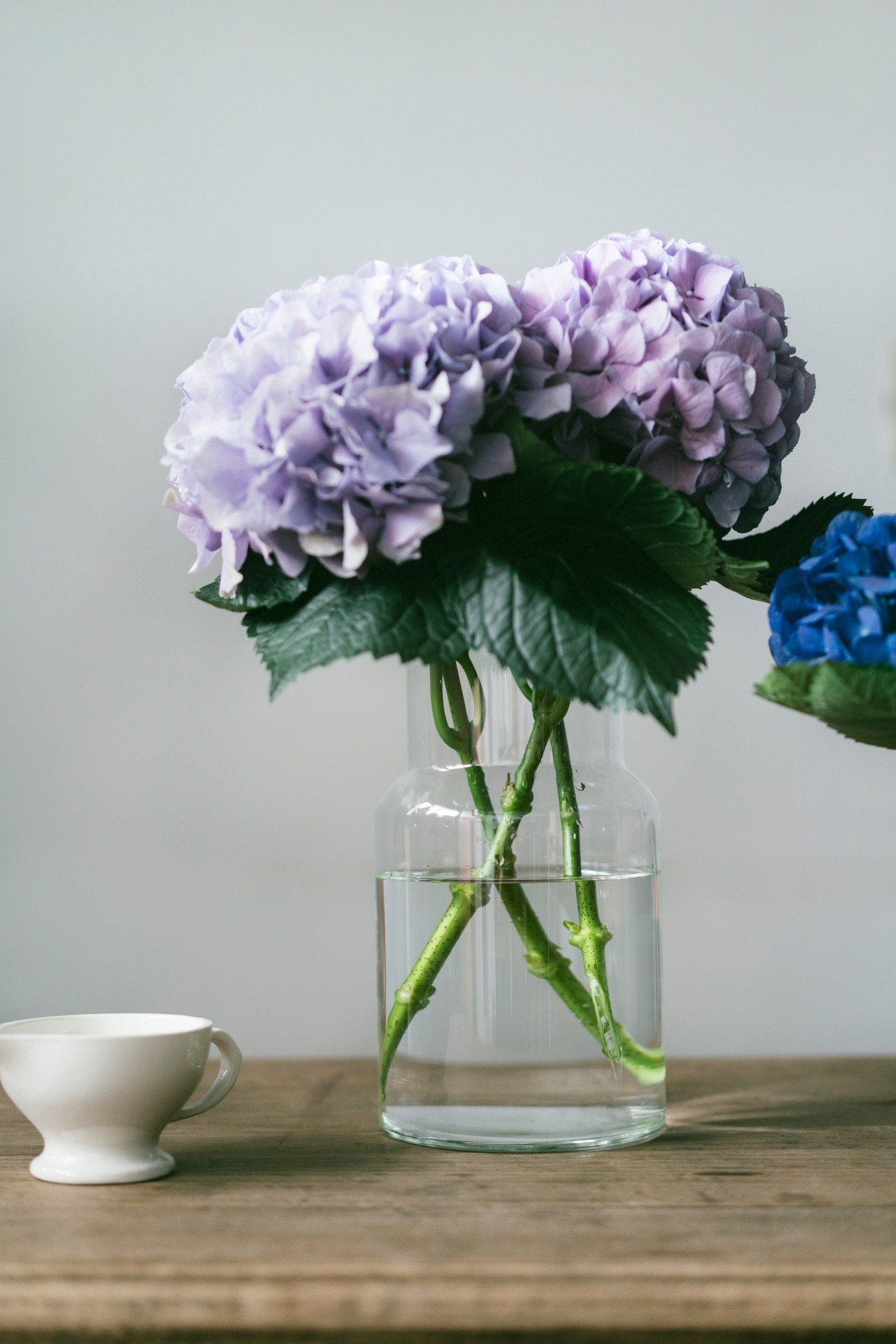 志成販売夏日清透玻璃修長花器