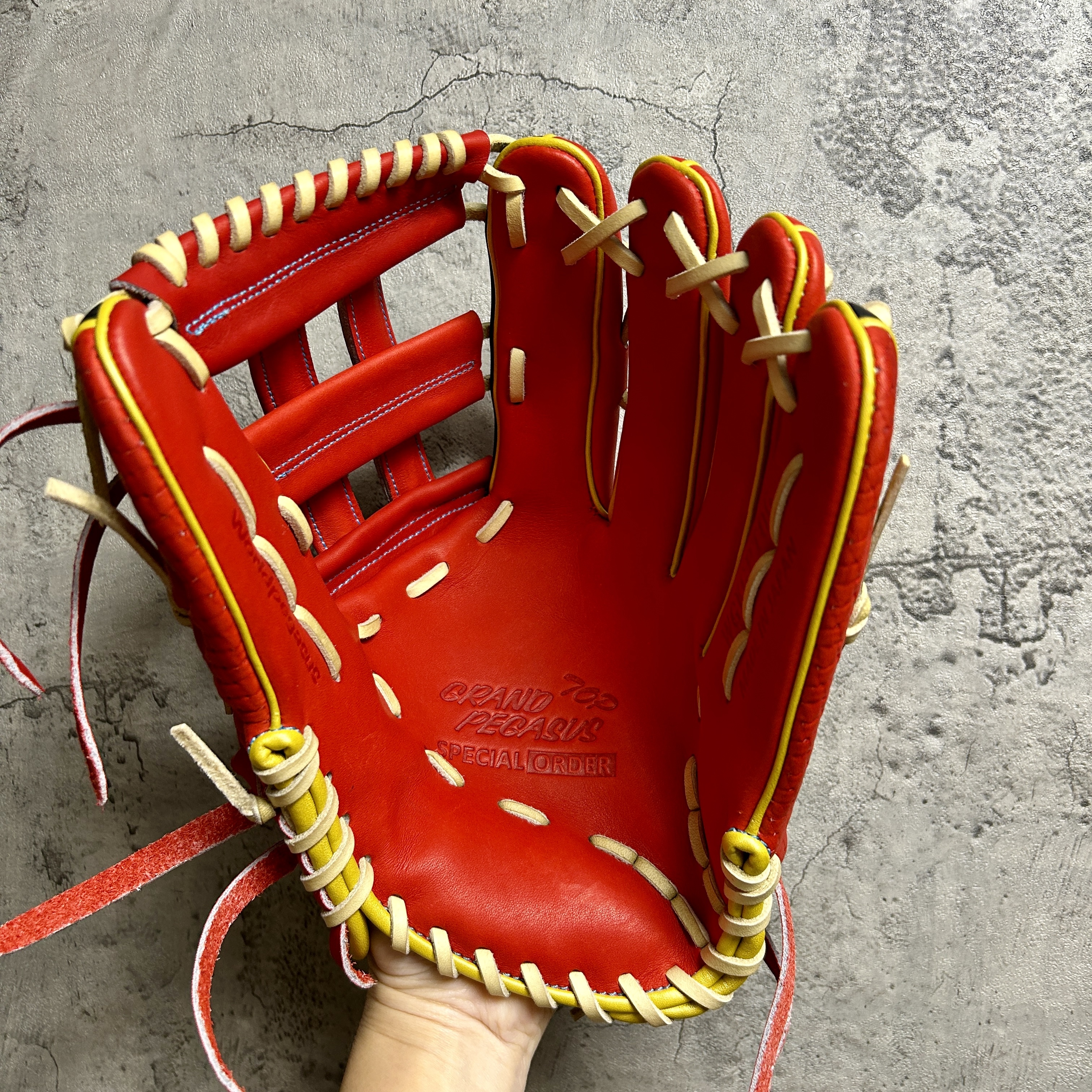 【照片分享】WorldPegasus 獨角獸 硬式 外野 WGKGPT9