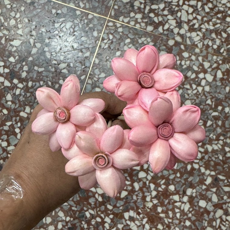 【台灣現貨速發】索拉乾花 睡蓮 蓪草花 擴香花