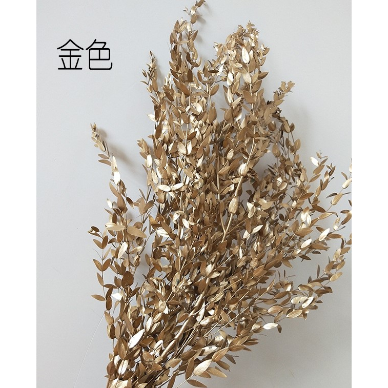 【台灣現貨速發】小尖葉 永生尤 加利葉 尤加利葉 永生花 乾燥素材 花束