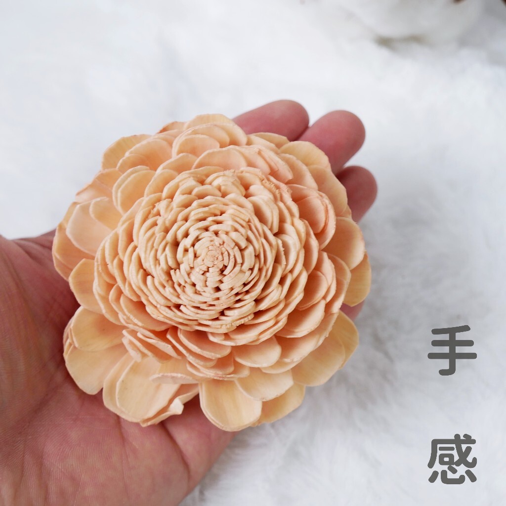 【台灣現貨速發】索拉花頭 蓪草花頭｜開心菊 太陽玫瑰 擴香花 通草花