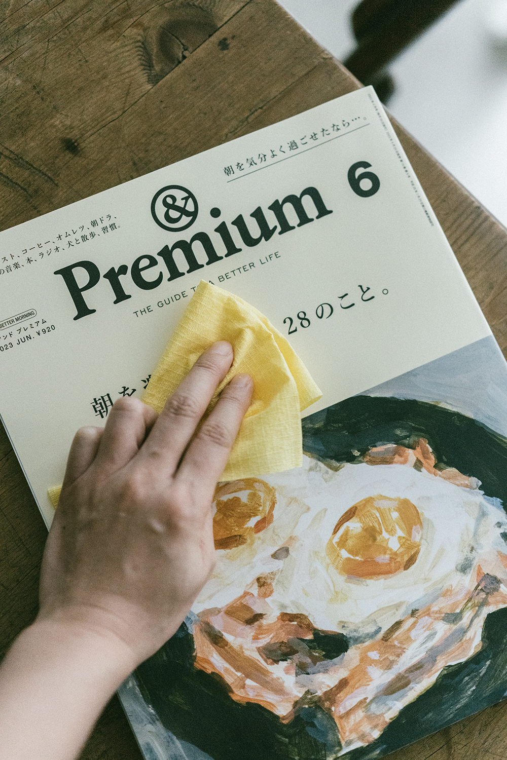 金鳥SASSA萬用除塵不掉塵巾（10枚入）