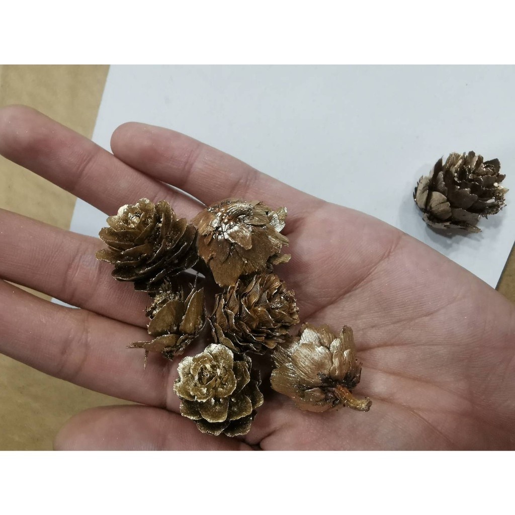 聖誕節 金松果 金毬果 迷你松果 |  1.5-3公分 | 一次最少出貨10個 聖誕樹裝飾 花圈裝飾 落羽松 乾燥素材