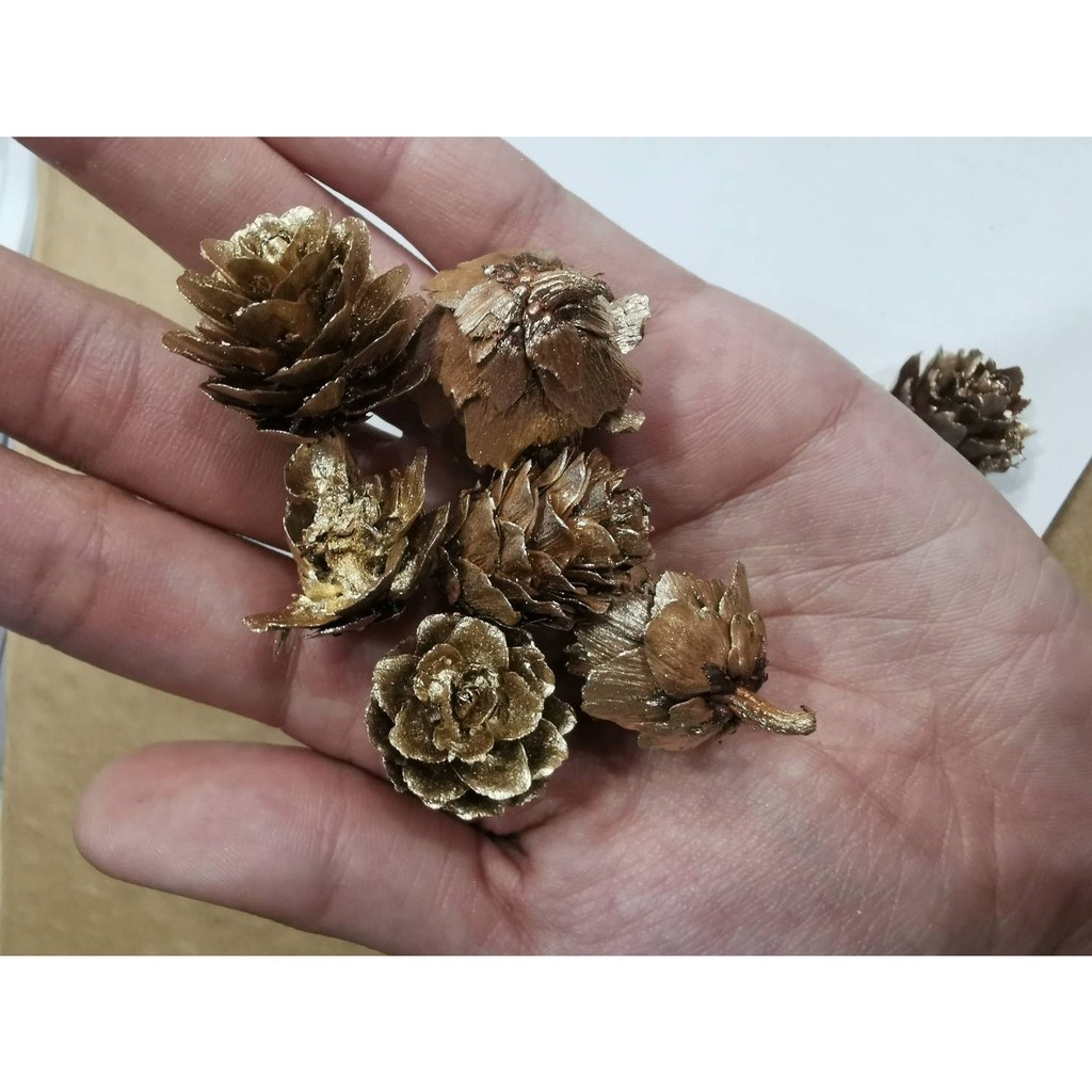 聖誕節 金松果 金毬果 迷你松果 |  1.5-3公分 | 一次最少出貨10個 聖誕樹裝飾 花圈裝飾 落羽松 乾燥素材
