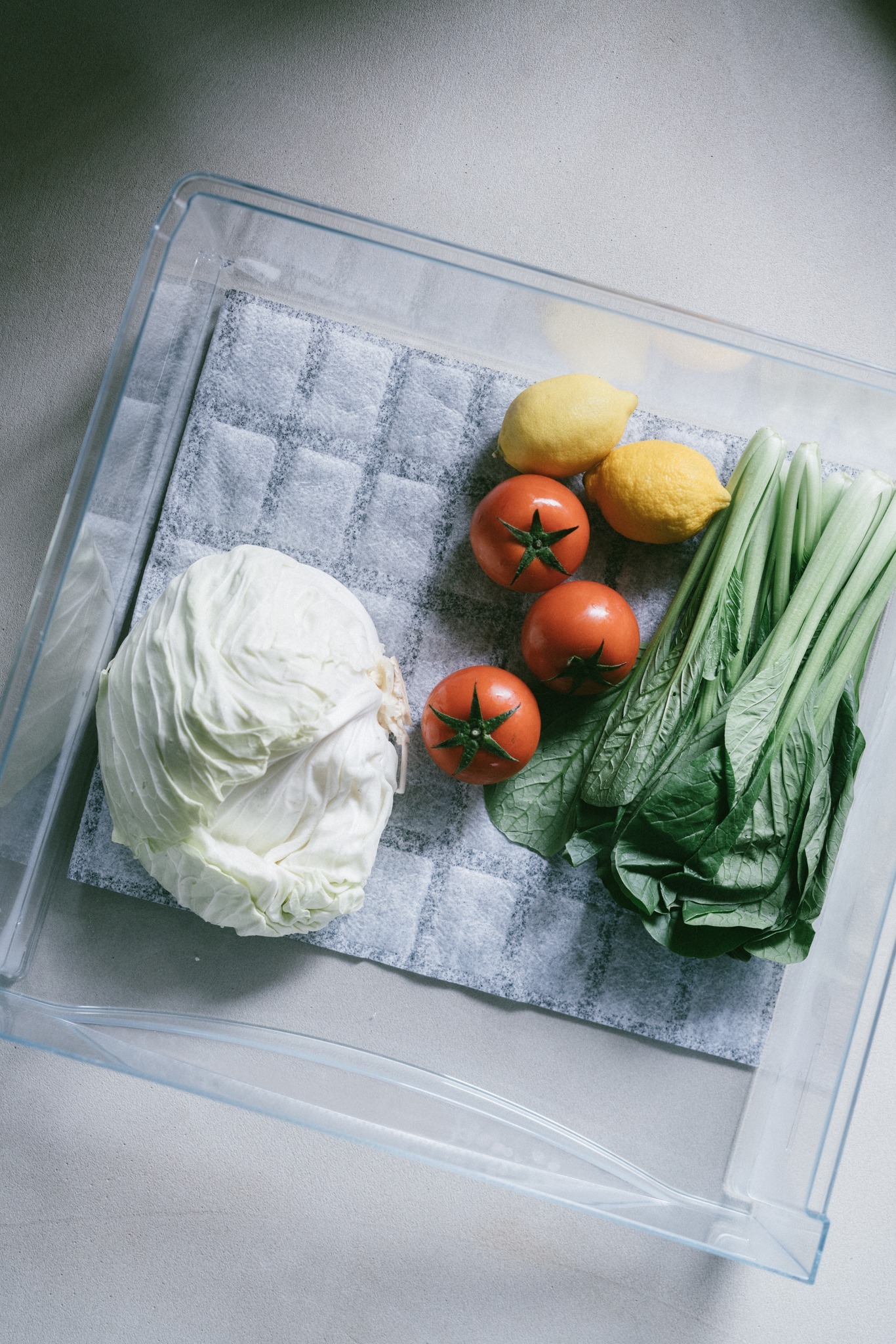 日本製冰箱蔬菜保鮮除溼除臭活性碳墊