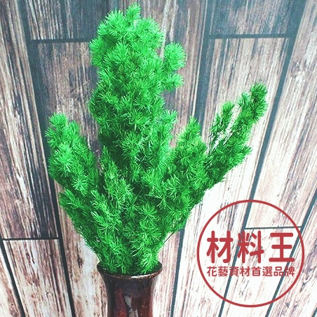 【台灣現貨速發】永生壽松 染色壽松 蓬萊松 聖誕松｜聖誕圈材料 永生花 乾躁花 1/4