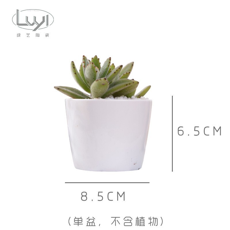【台灣現貨速發】花器 圓型花器 白色瓷器 小圓白瓷盆｜種多肉 插乾花