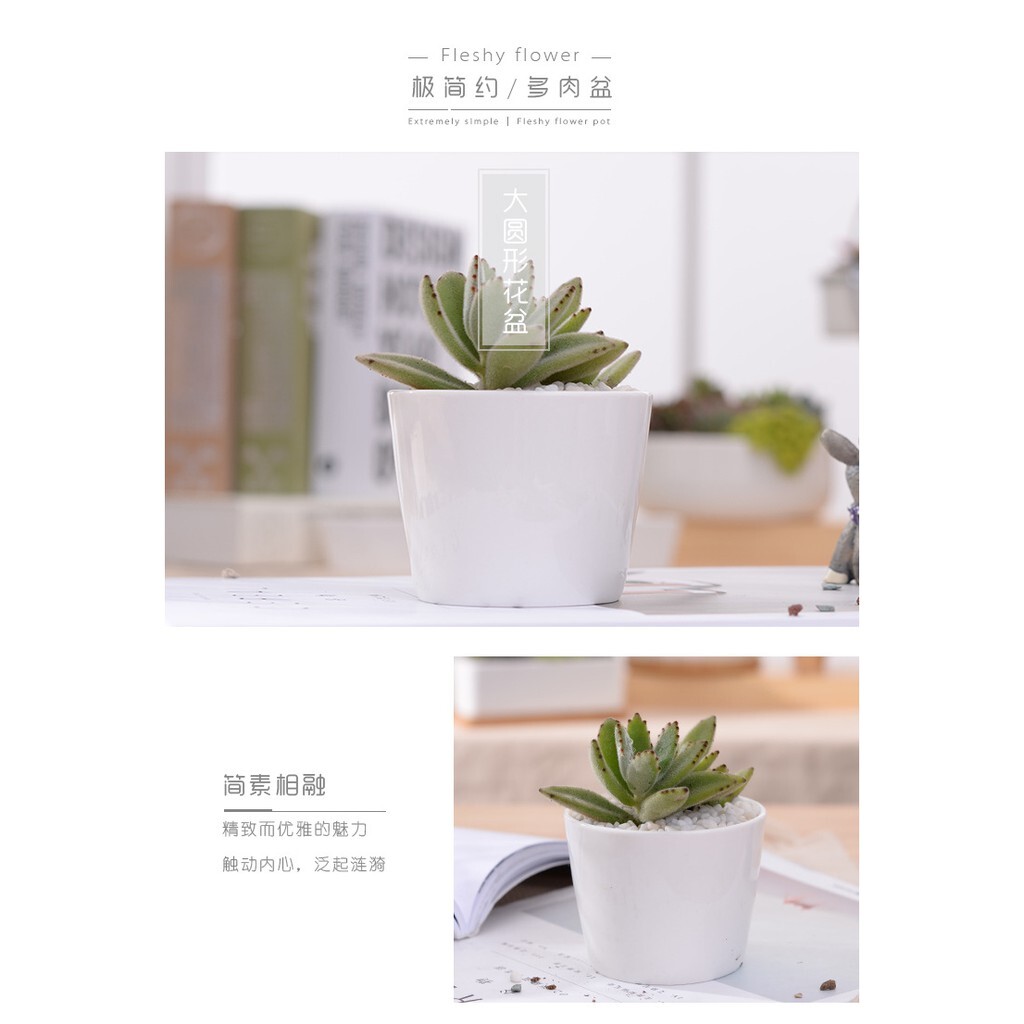 【台灣現貨速發】花器 圓型花器 白色瓷器 小圓白瓷盆｜種多肉 插乾花