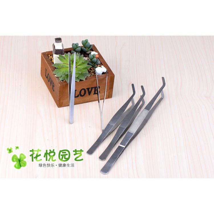 【台灣現貨速發】花藝夾子 鑷子 永生花/多肉植物專用｜直頭 彎頭 12公分