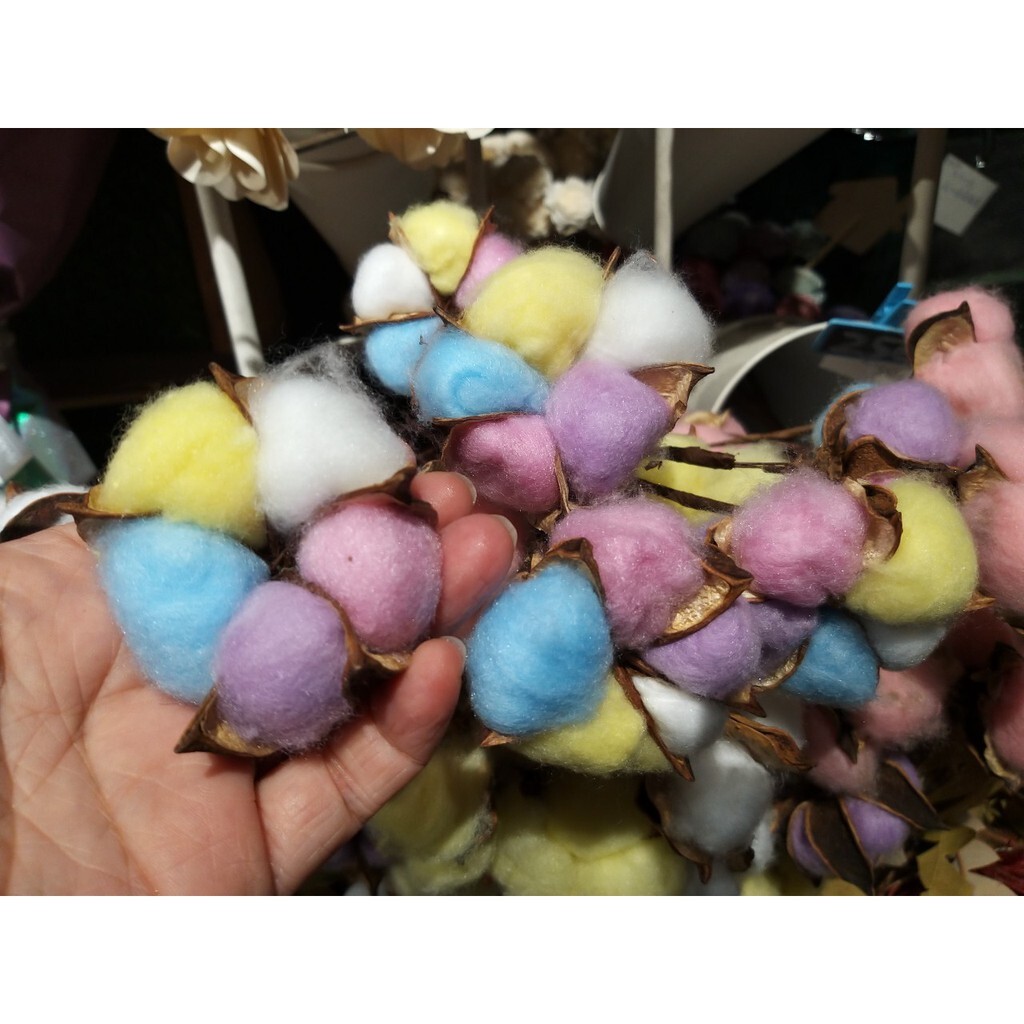 【台灣現貨速發】乾燥花｜五彩棉花｜四彩棉花｜20元