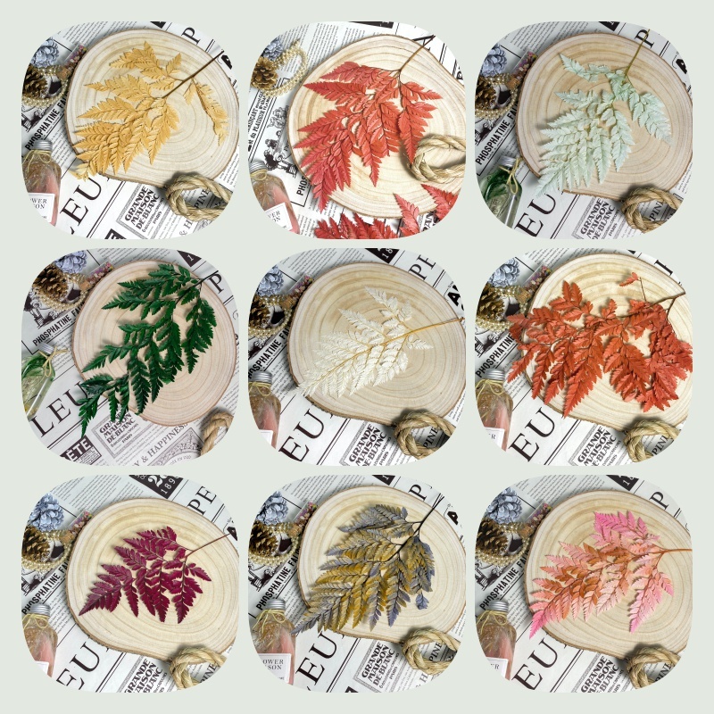 【台灣現貨速發】台灣現貨 永生高山羊齒｜乾燥葉材 蕨類 羊齒 永生花材 (深綠/綠/黃色/秋紅/紅色/灰籃//淺籃)