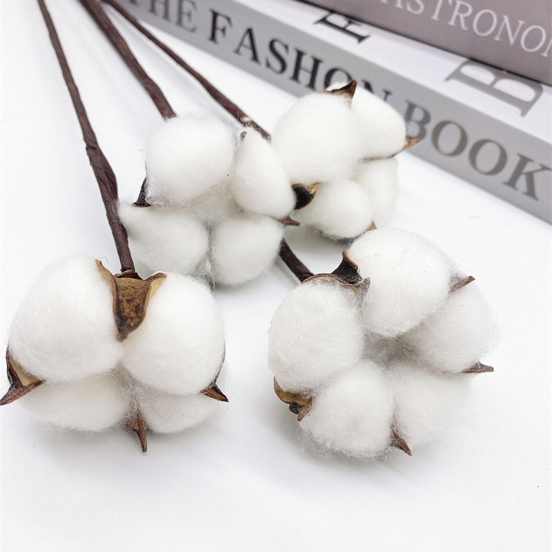 【台灣現貨速發】單支棉花｜一把10支｜單色&多色棉花 棉花 乾燥花 手工花材