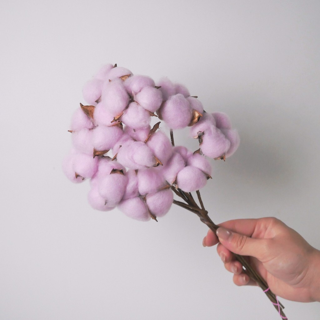【台灣現貨速發】單支棉花｜一把10支｜單色&多色棉花 棉花 乾燥花 手工花材
