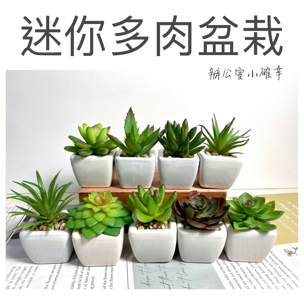 【台灣現貨速發】迷你多肉盆栽 仿真多肉植物 ｜６－９種不同款式｜人造 多肉 生活裝飾 盆栽
