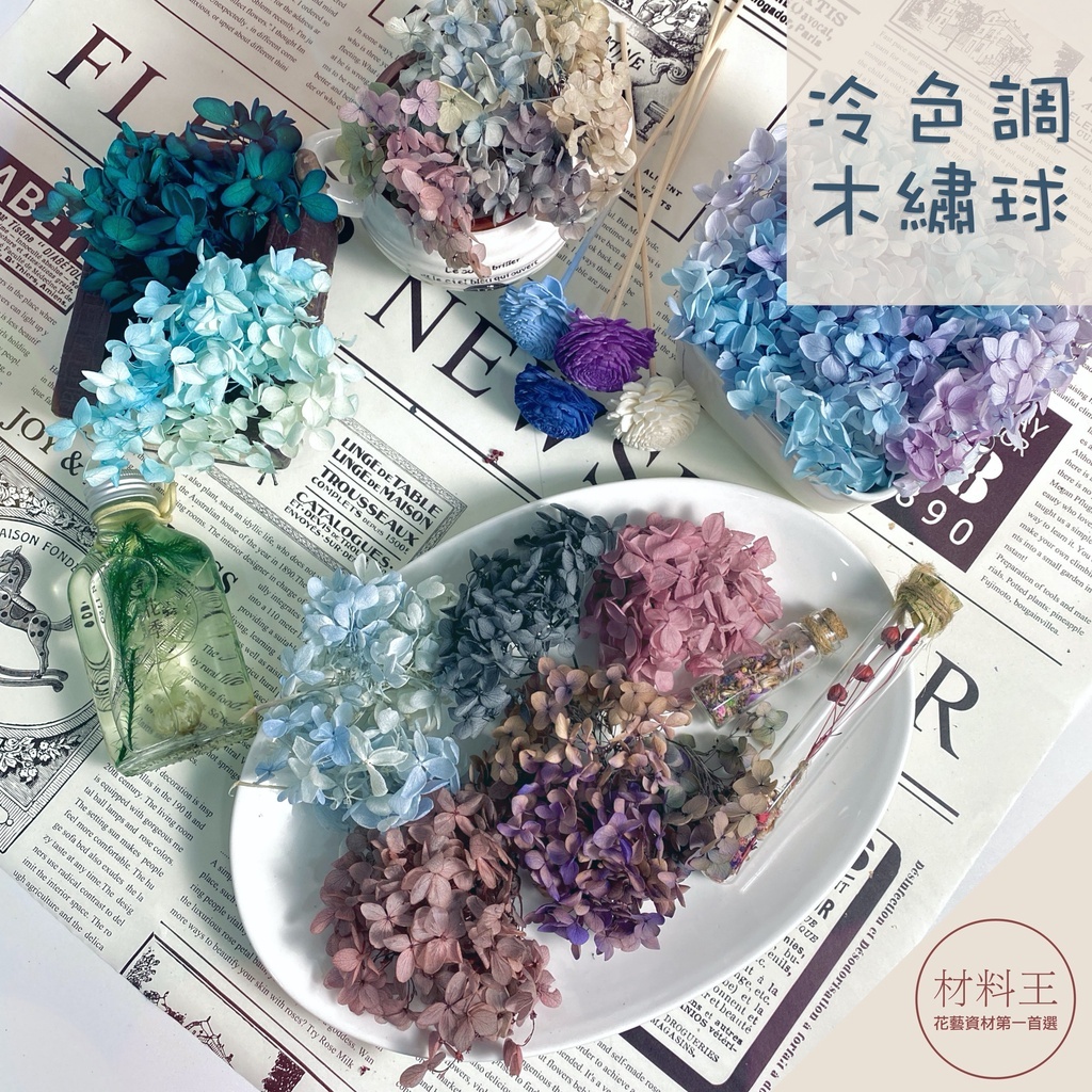 【台灣現貨速發】永生木繡球 安娜繡球 不凋花｜漸層色小花瓣｜繡球 繡球花 永生花 乾燥花 花材 手作 永生繡球 繡球