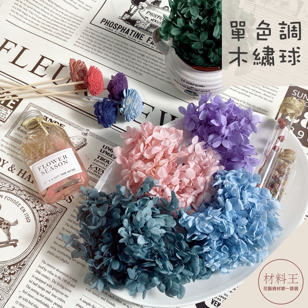 【台灣現貨速發】永生木繡球 單色安娜繡球 不凋花｜純色小花瓣｜繡球 繡球花 永生花 乾燥花 花材 手作 永生繡球 繡球