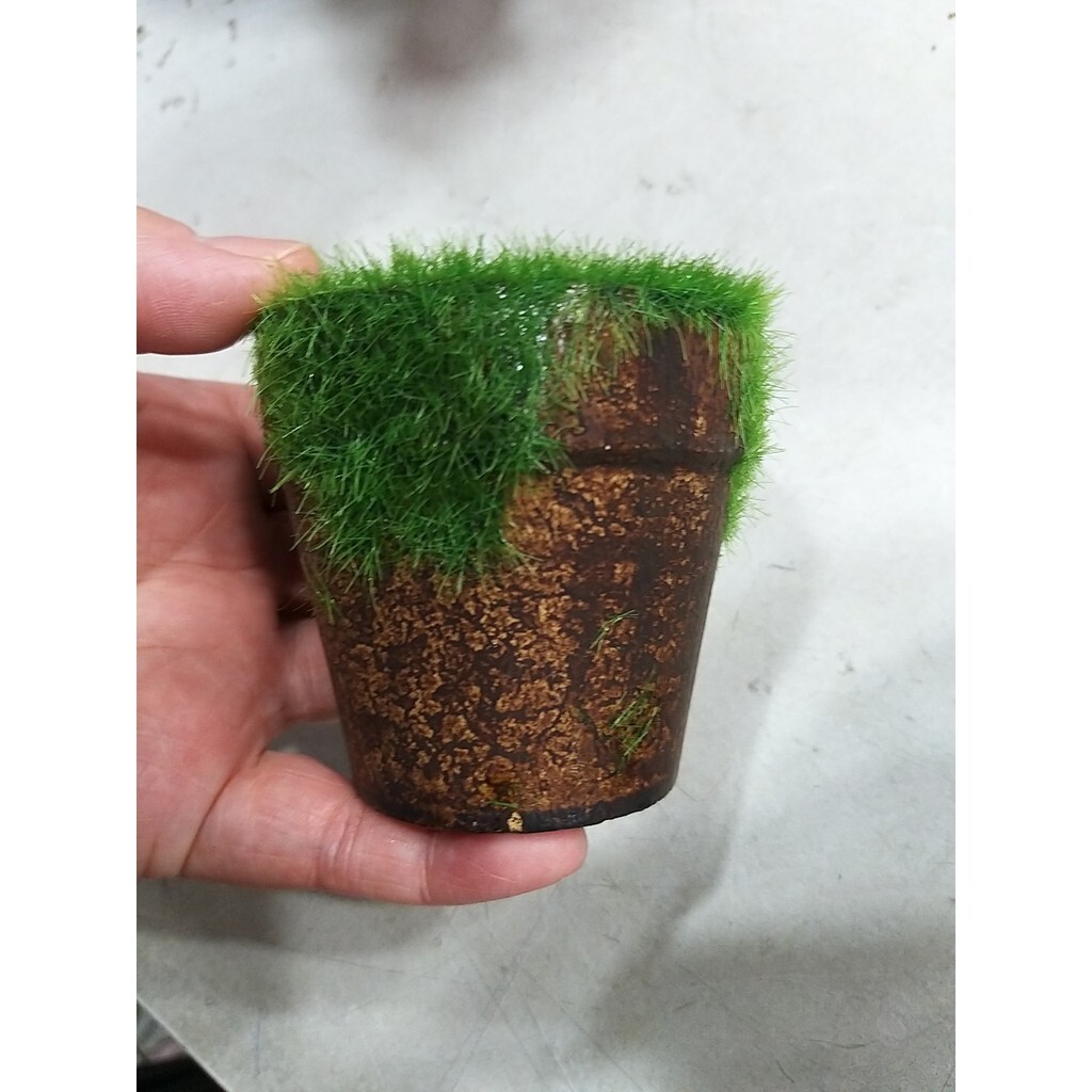 【台灣現貨速發】-----青苔土盆//小花盆(花器)(小)一個25元**有現貨