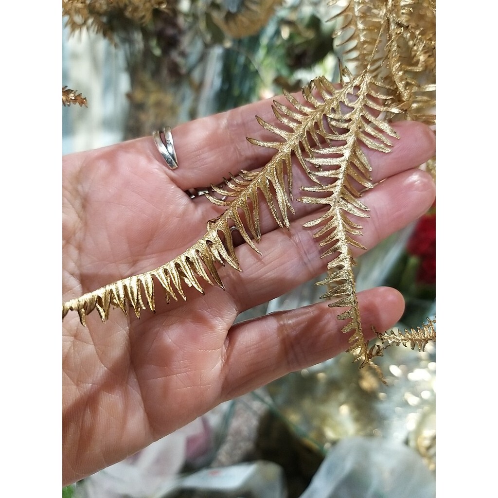 【台灣現貨速發】金色蕨類葉子//羊齒葉片*****有現貨