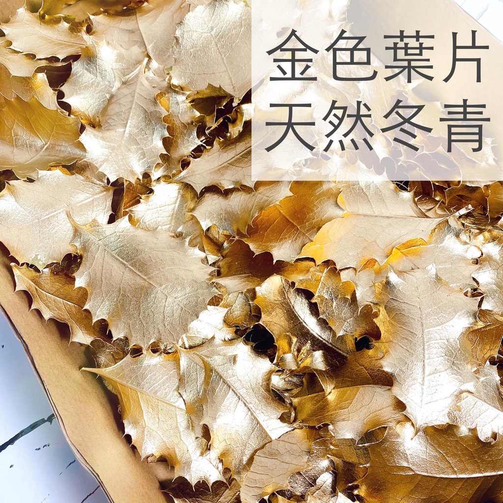 【台灣現貨速發】金色冬青葉子 葉片 一片10元｜一包五片｜聖誕節裝飾 聖誕 冬青 新年裝飾