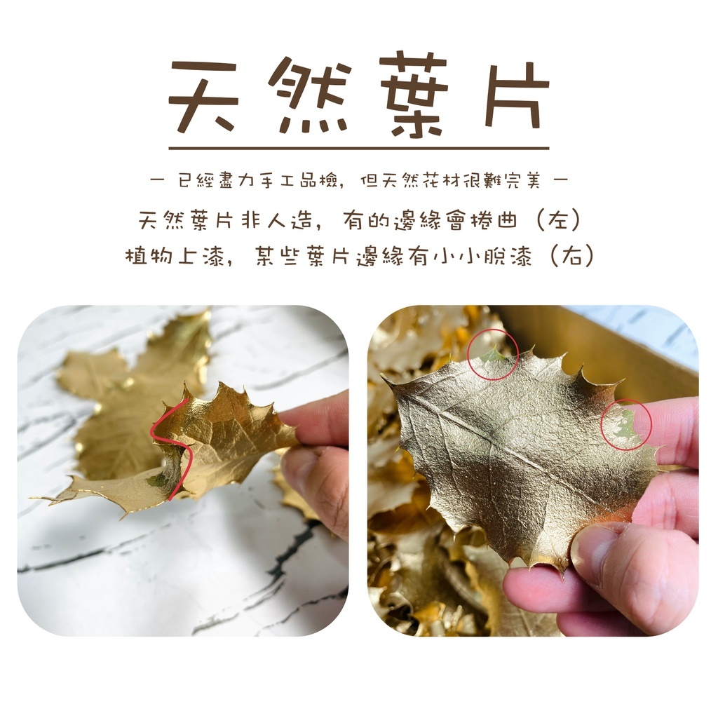 【台灣現貨速發】金色冬青葉子 葉片 一片10元｜一包五片｜聖誕節裝飾 聖誕 冬青 新年裝飾