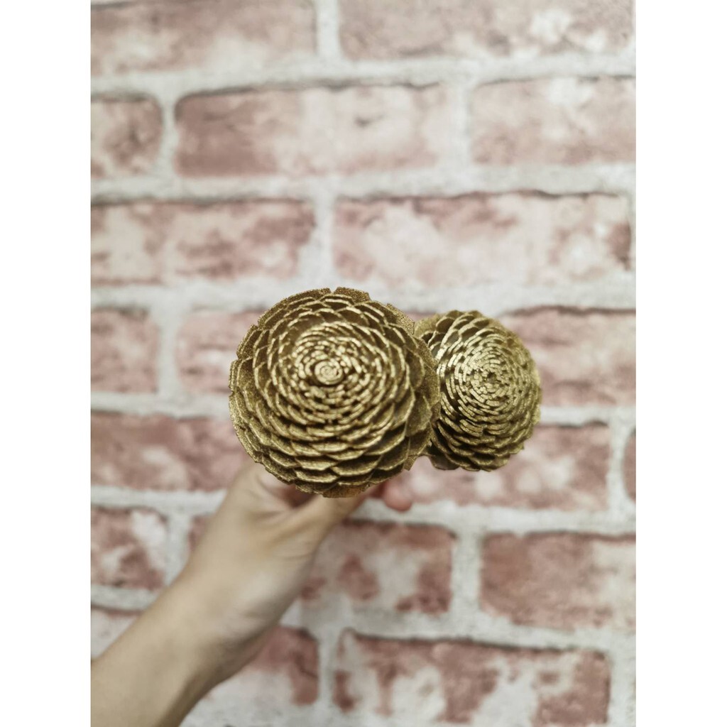 【台灣現貨速發】索拉乾花 太陽玫瑰【噴金漆】通草花 擴香花｜一次出貨五枝 一支25元