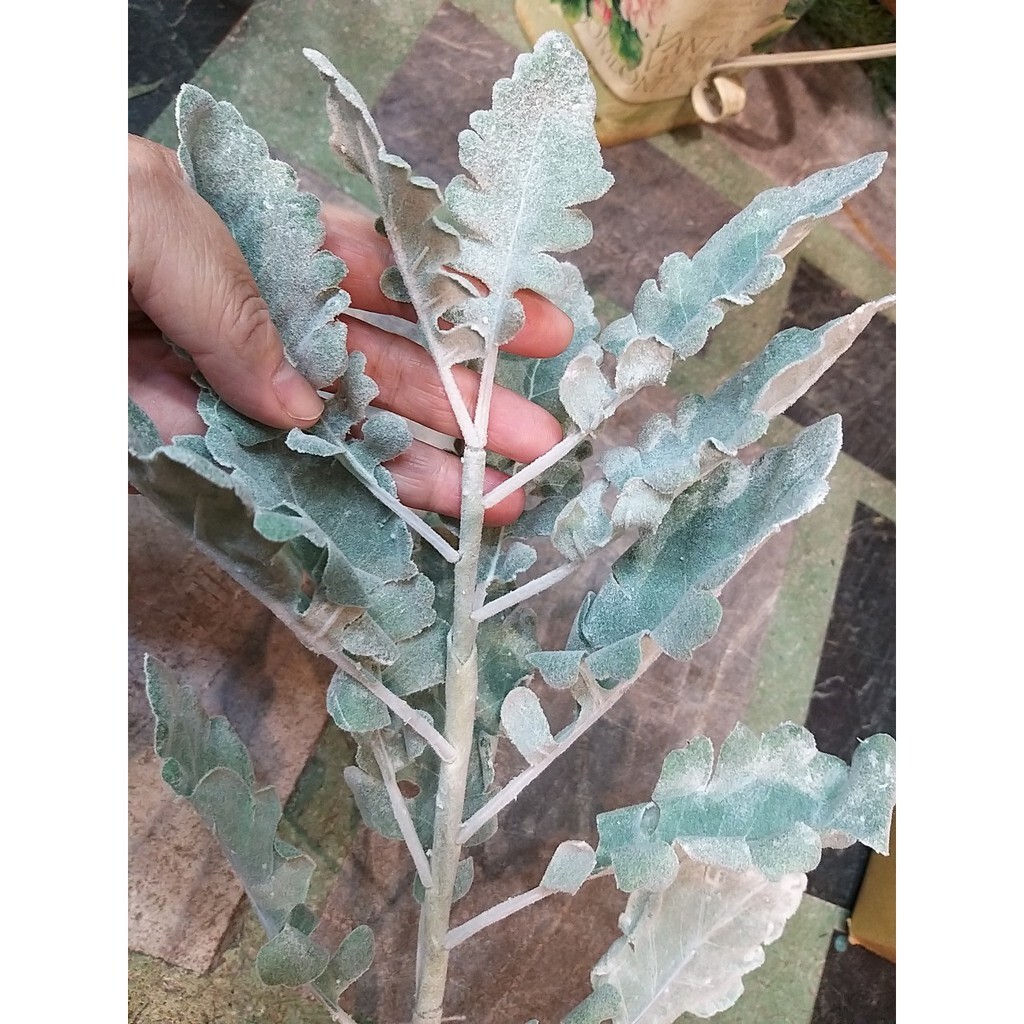 【台灣現貨速發】銀合歡葉｜仿真 人造花 人造仿真植物 創意仿真植物 裝飾