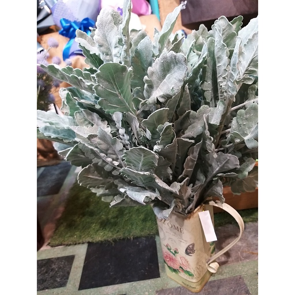 【台灣現貨速發】銀合歡葉｜仿真 人造花 人造仿真植物 創意仿真植物 裝飾