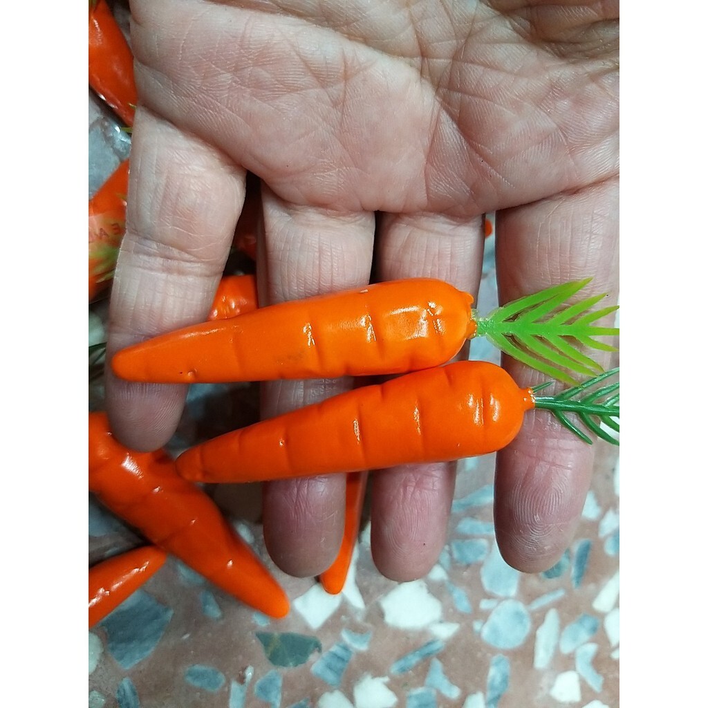 【台灣現貨速發】仿真紅蘿蔔 小紅蘿蔔｜一個3元｜--多肉植物//微景觀(