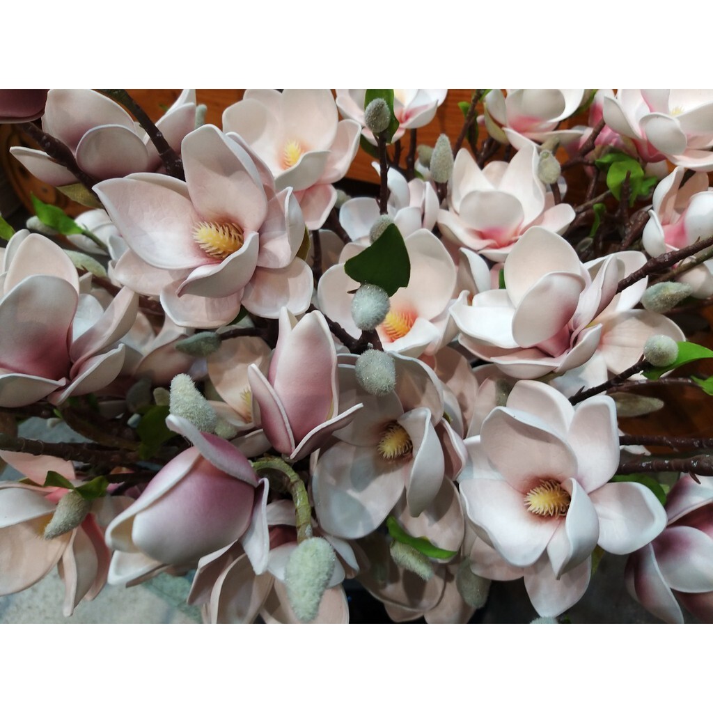 【台灣現貨速發】天目玉蘭花//2花一苞(人造花)