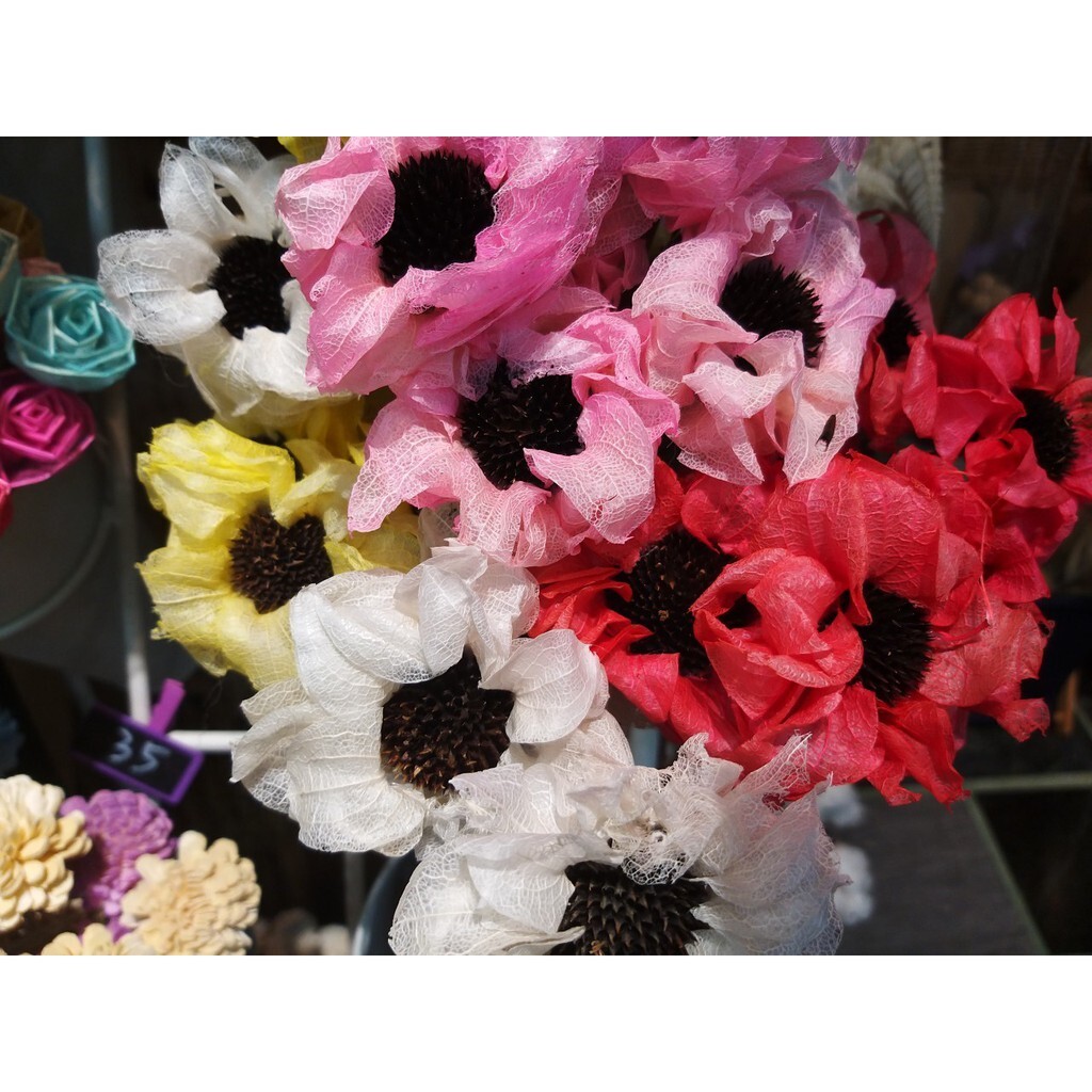 【台灣現貨速發】1支40元**手工乾燥花--芙蓉花//芍藥花