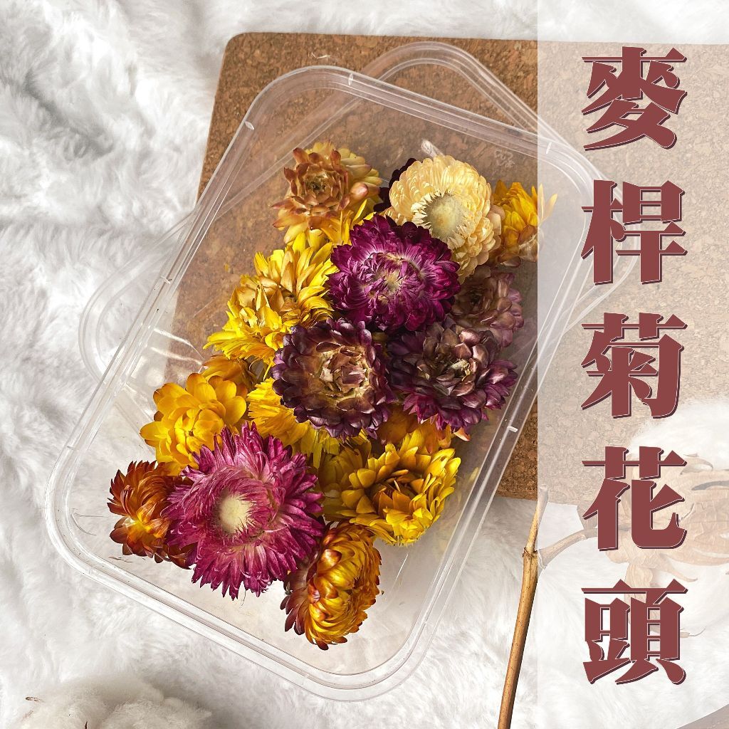【台灣現貨速發】麥桿菊花頭 花材盒｜一盒約20-25朵｜乾燥花 菊花 小花材 花頭 麥桿菊