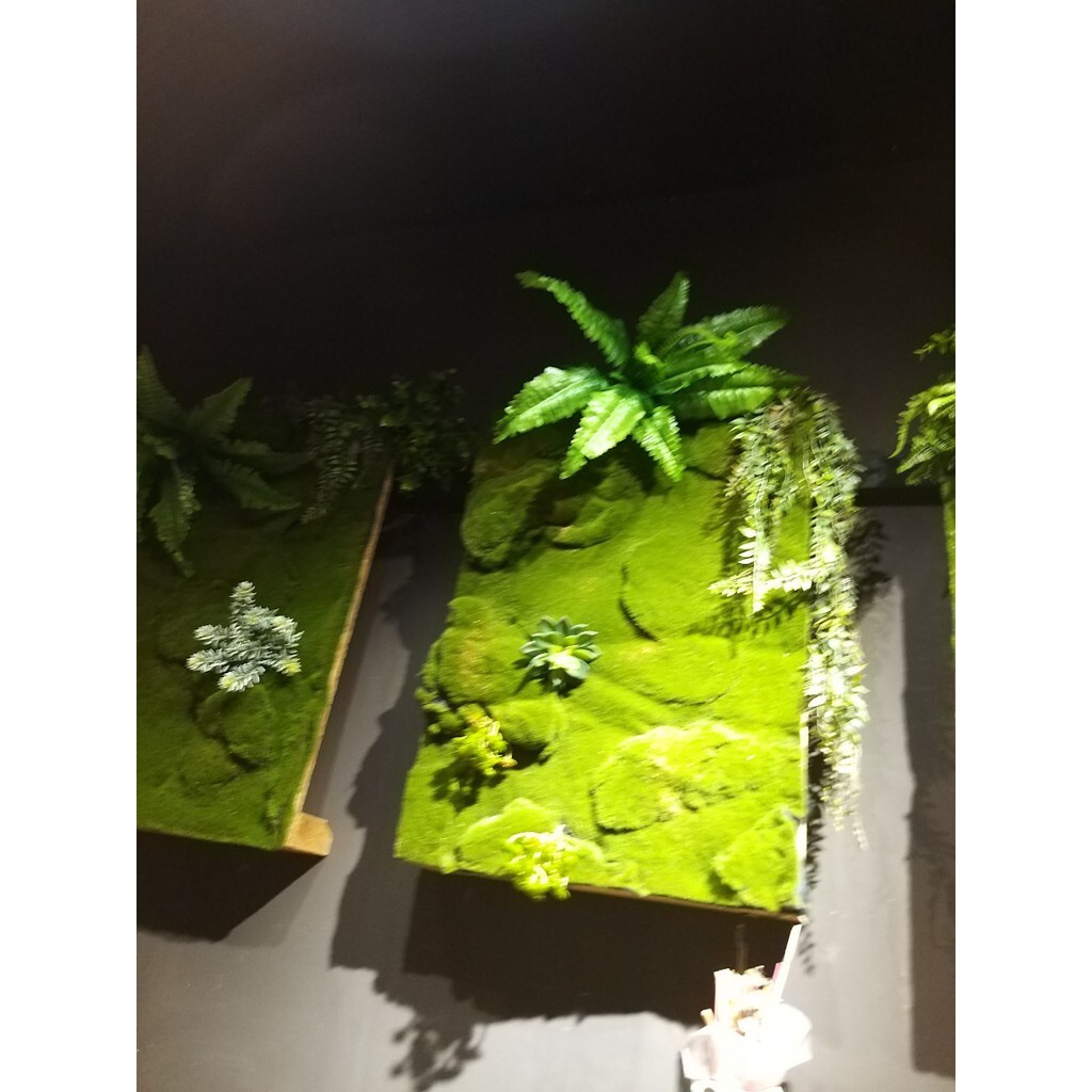 【台灣現貨速發】仿真苔蘚草皮 青苔草皮//100*100公分