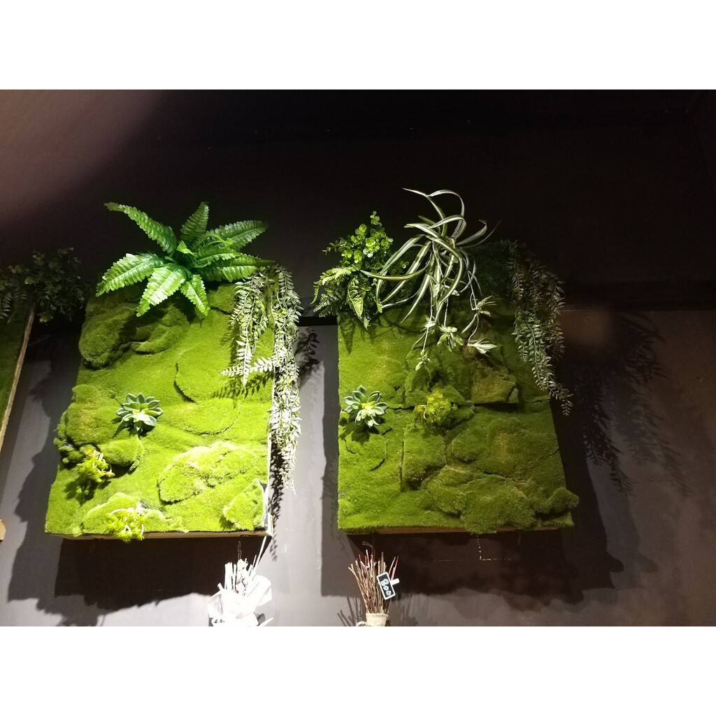 【台灣現貨速發】仿真苔蘚草皮 青苔草皮//100*100公分