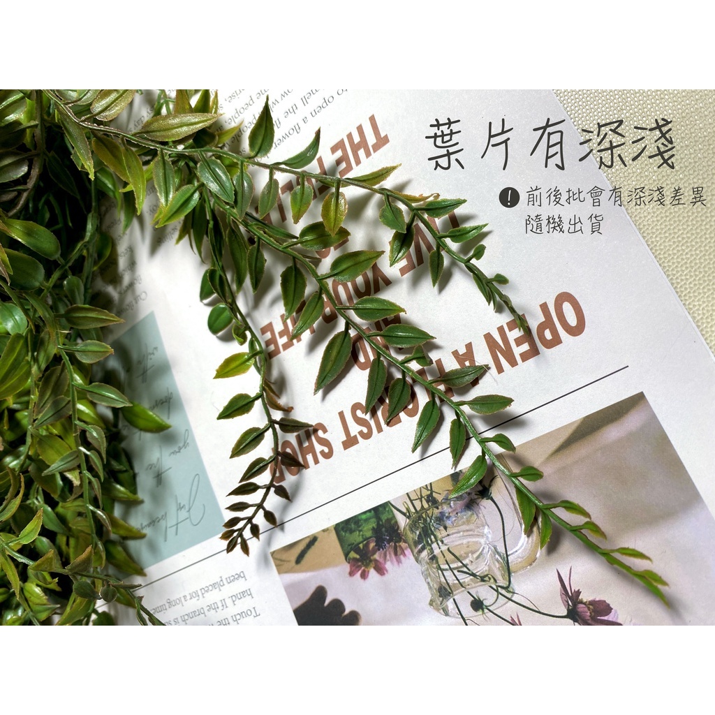 【台灣現貨速發】長款小尖葉 垂藤 人造仿真植物｜垂葉 蕨類