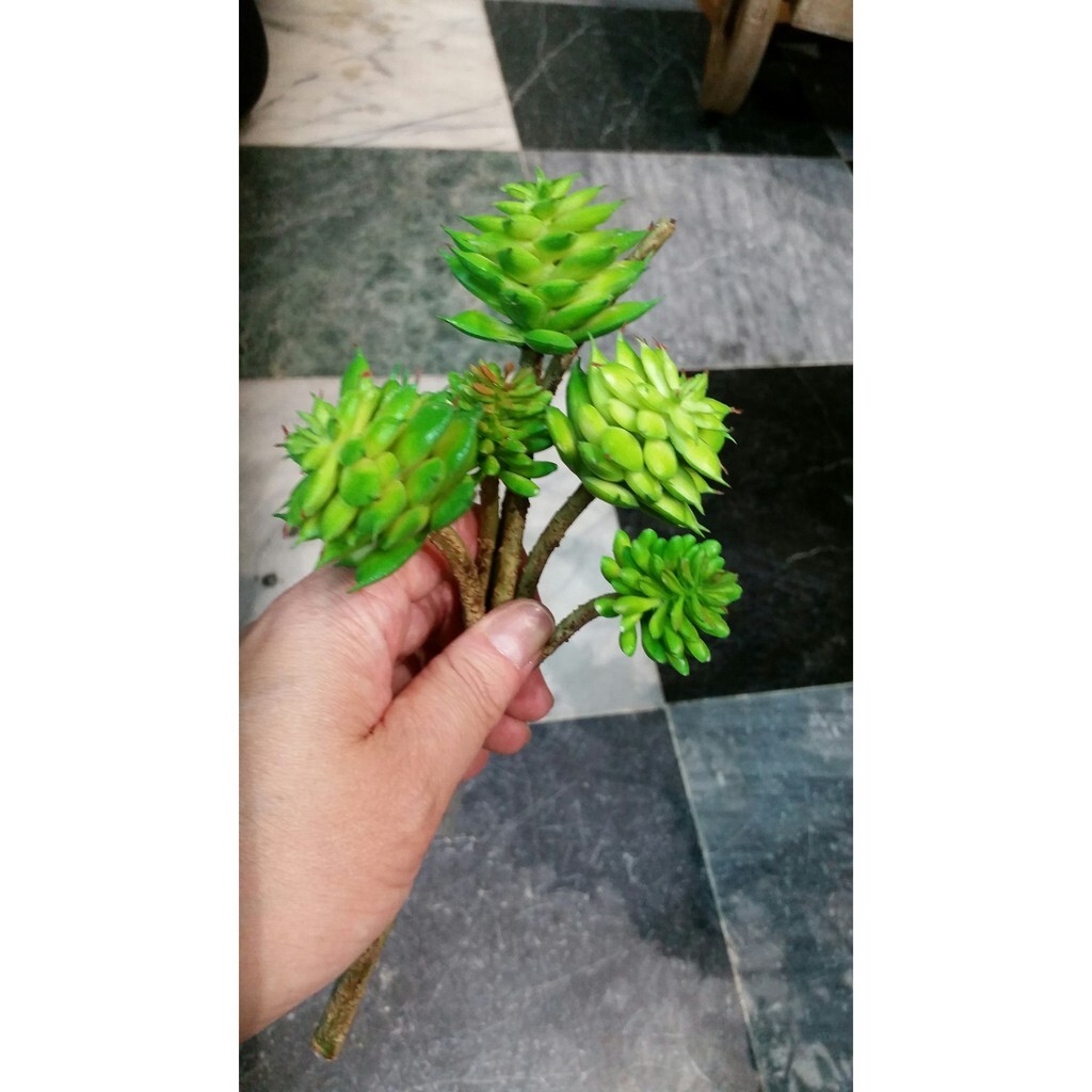 【台灣現貨速發】多肉植物系列--5頭小蓮花**(仿真人造)