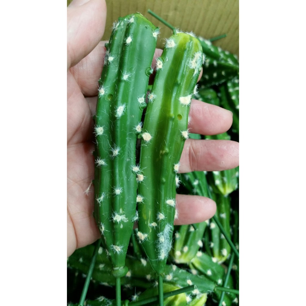 【台灣現貨速發】大仙人掌 仿真人造多肉｜多肉植物系列 單枝筆狀仙人掌