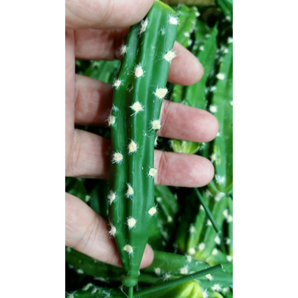 【台灣現貨速發】大仙人掌 仿真人造多肉｜多肉植物系列 單枝筆狀仙人掌