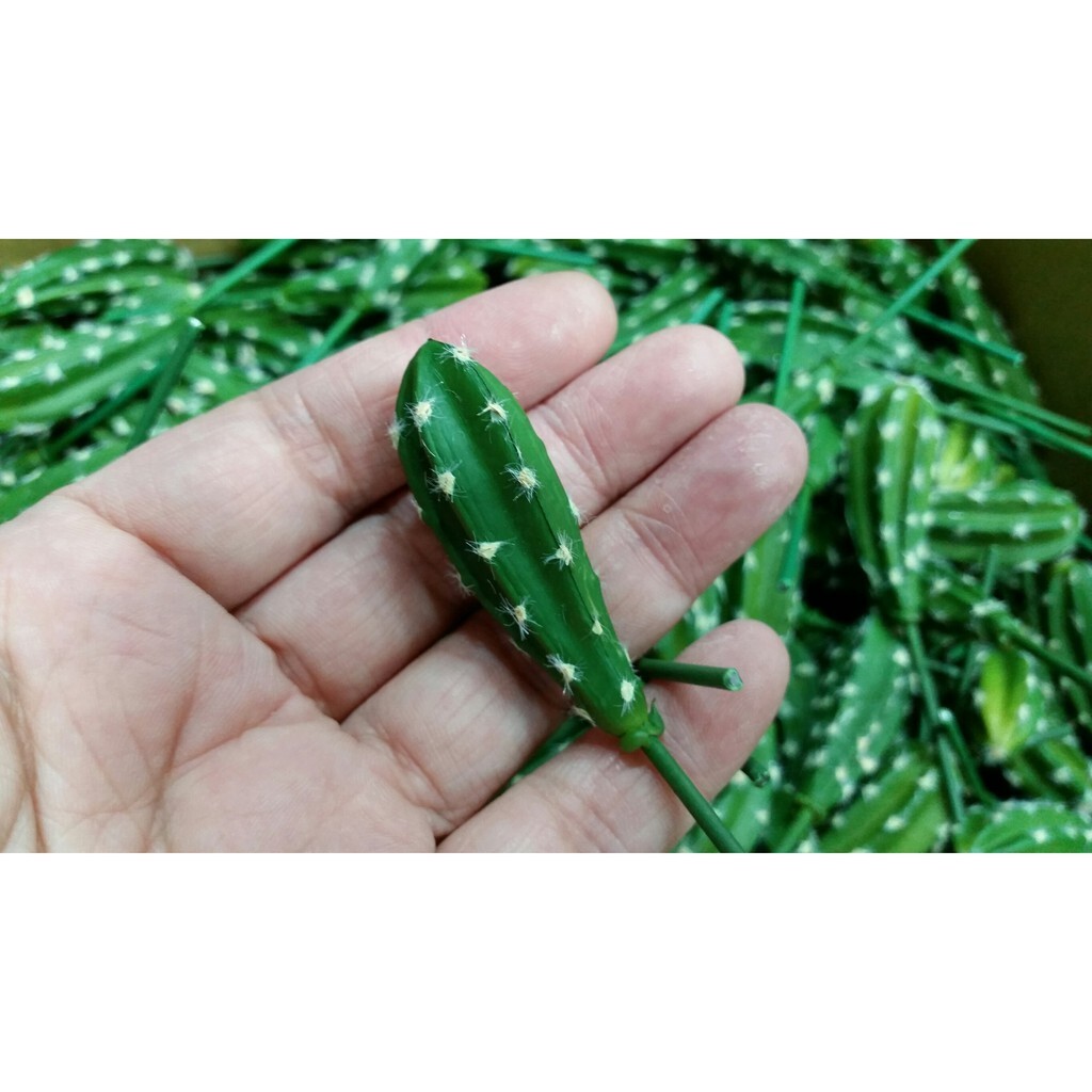 【台灣現貨速發】小仙人掌 仿真人造多肉｜多肉植物系列 單枝筆狀仙人掌
